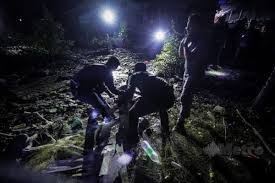 top-news